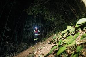 BIB: 
                            <button type="button" onclick="openModal(28116934)" class="btn btn-primary btn-sm float-right btn-popup" data-toggle="modal" data-target=".modal-high-quality">
                        <i class="fas fa-shopping-cart"></i> Add to Cart
                    </button>
                                            <button type="button" onclick="isThisMe(28116934, true)" class="btn btn-success btn-sm float-right btn-popup btn-isme hidden" data-toggle="tooltip" data-placement="bottom" title="นี่คือรูปของคุณใช่ไหม คลิกที่นี่เพื่อเอาเข้าอัลบั้ม">
                        <i class="fas fa-plus"></i> Add to album
                    </button>
                    <button type="button" onclick="isThisMe(28116934, false)" class="btn btn-warning btn-sm float-right btn-popup btn-isnotme hidden">
                        <i class="fas fa-ban"></i> Remove from album
                    </button>